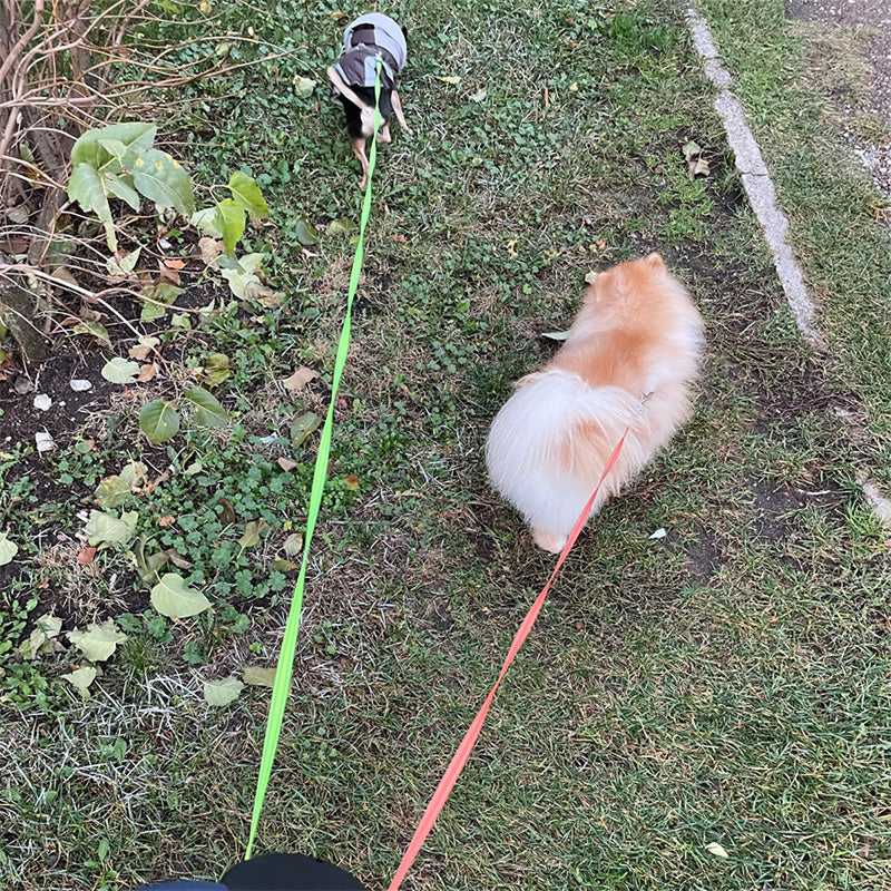 Paws-To-Go Hydration Bottle