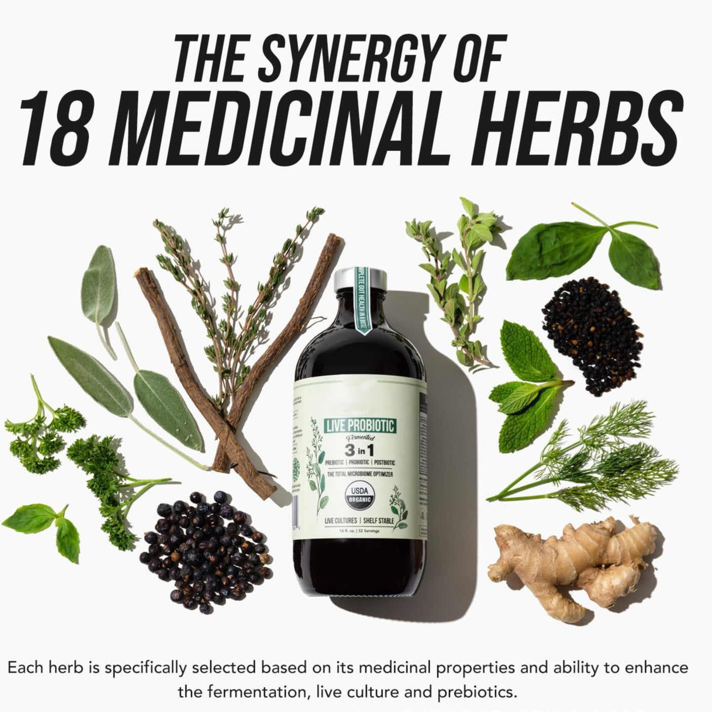 Advanced Probiotic Supplement – Gut Health, Bloating & Digestive Support