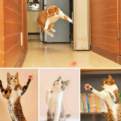 Rechargeable Laser Cat Toy – Interactive Exercise Toy for Indoor Cats & Dogs