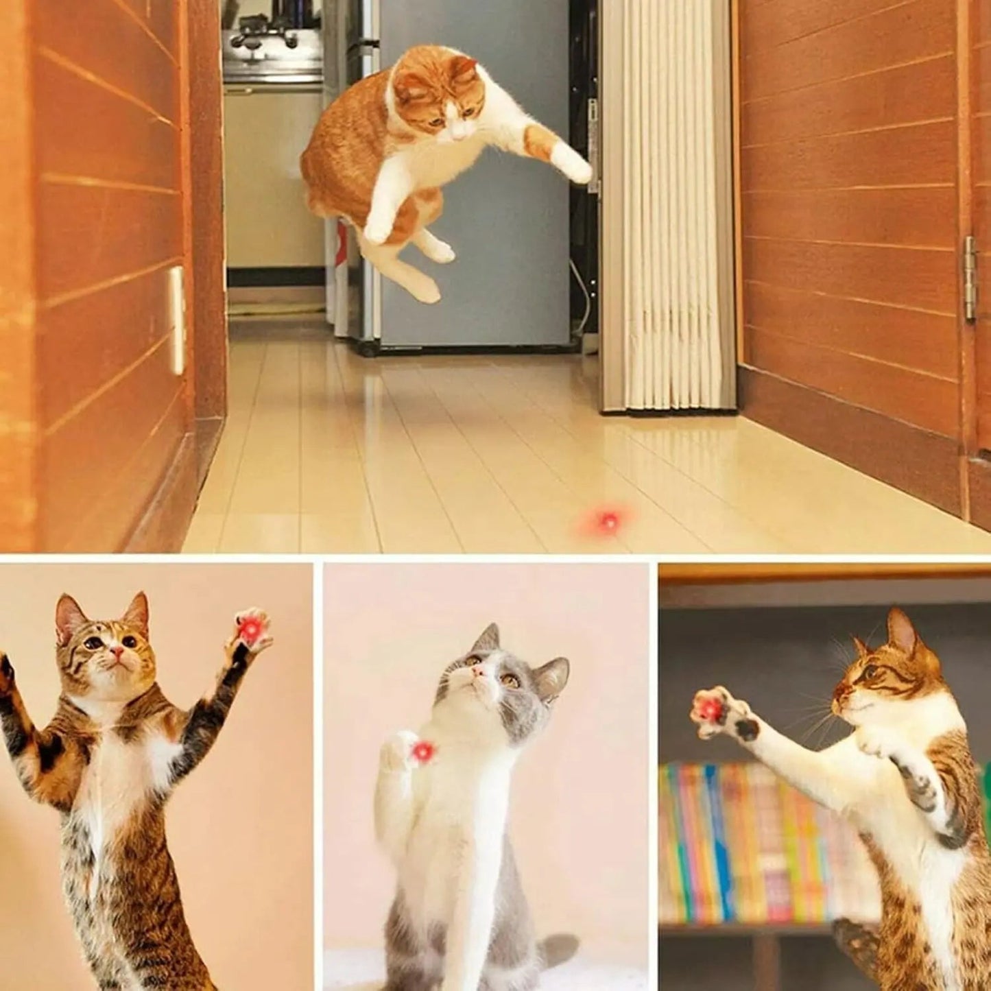 Rechargeable Fun Laser Toy